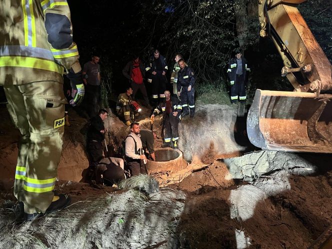 Koń wpadł do studni. Na pomoc ruszyli nie tylko strażacy