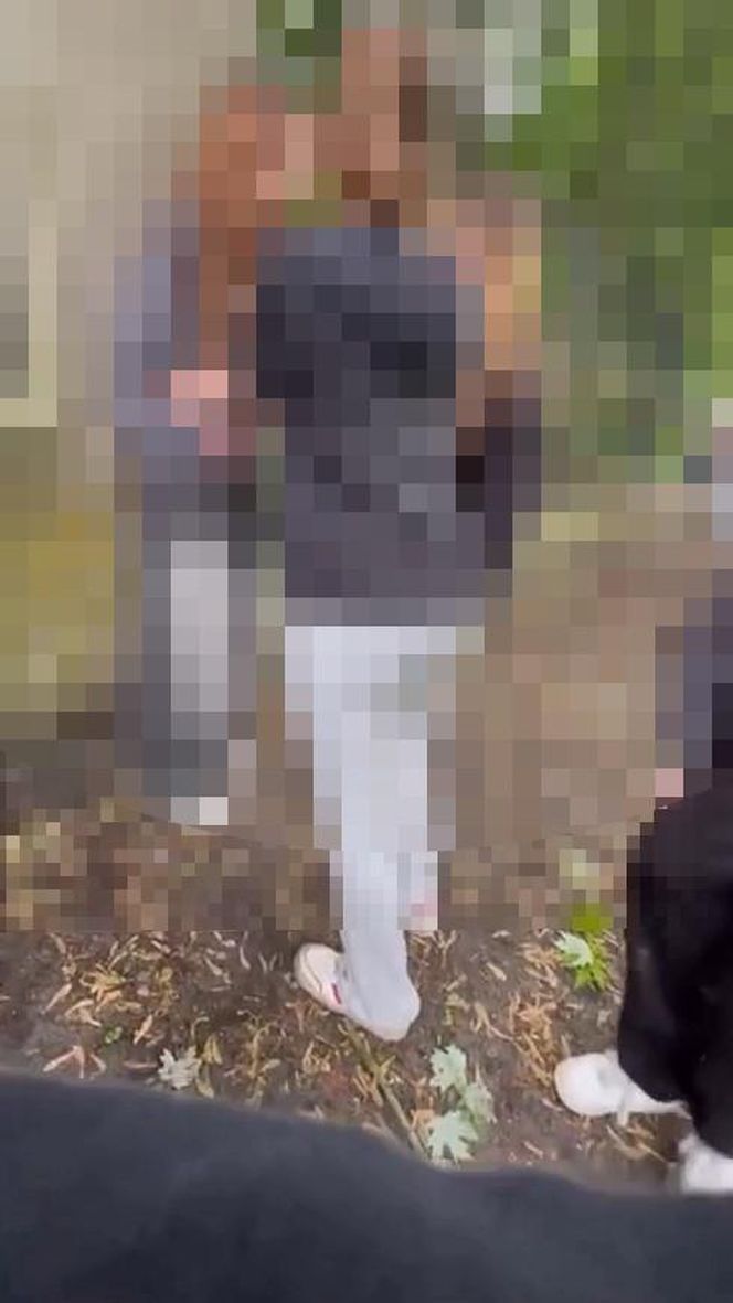 Brutalny atak na 14-latkę w Zielonej Górze! Wstrząsające nagranie trafiło do sieci