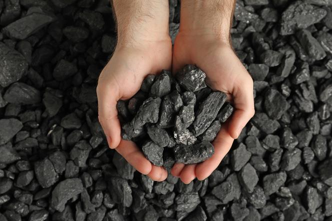 Czy jeśli kupiłem węgiel to przysługuje mi dodatek węglowy?