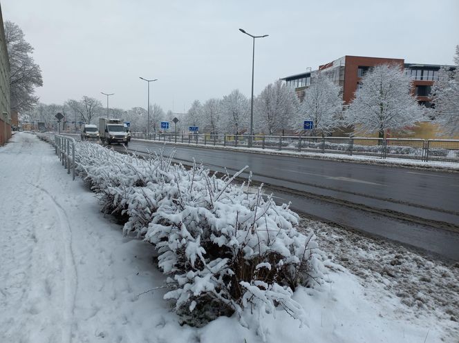 Leszno wygląda bajkowo! Na walentynki sypnęło śniegiem