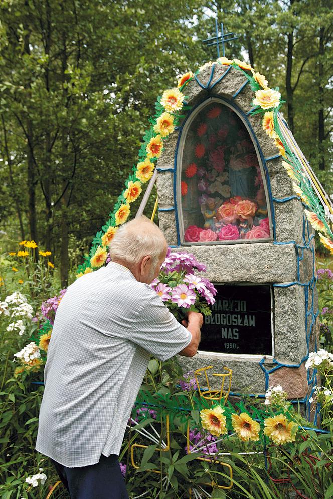 Zły los Tadeusza Kwasa