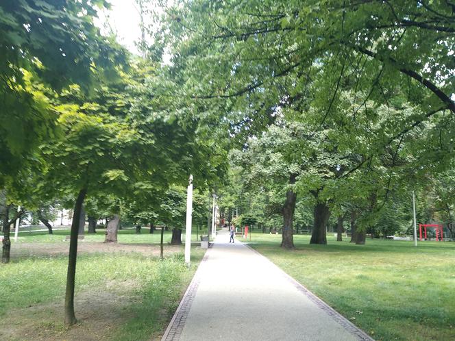 Park Bogucki w Katowicach zyskał nowe oblicze! [ZDJĘCIA]