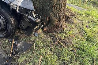 Koszmarny wypadek na DW 310 w Wielkopolsce. Mężczyzna spłonął w aucie