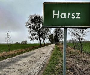 Pożar trzcinowiska nad jeziorem Dargin. Dwóch mężczyzn z zarzutami! Makabra na Mazurach