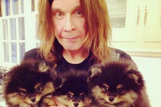 Ozzy i szczeniaczki