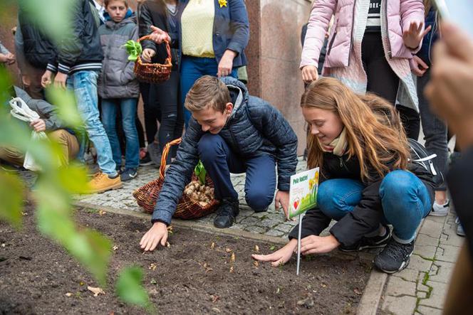 Fundacja "Pomóż Im". Po raz dziesiąty zaczęli siać Pola Nadziei [ZDJĘCIA]