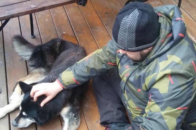 Głowa psa ZAKLESZCZONA w żeliwnym stojaku na rowery. Wyglądał na bardzo osłabionego