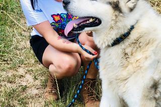 Wielichowska wyczesała psa na maksa