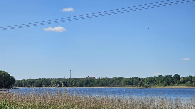 Było, zniknęło i... powróciło. Zobacz magiczne jezioro Track na obrzeżach Olsztyna [ZDJĘCIA]