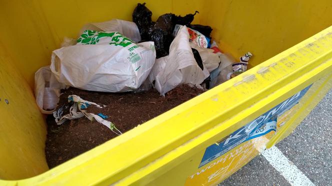 Segregacja śmieci w Białymstoku. Wszystko, co musisz wiedzieć