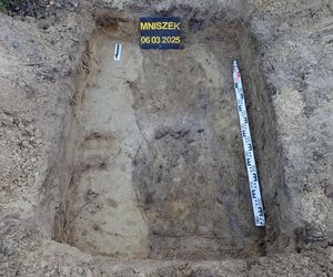 Ludzkie szczątki przy torach pod Świeciem! Tajemnica grobu w końcu wyszła na jaw