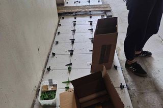 Wrocławska Ekostraż apeluje o pomoc. Sypiemy się 