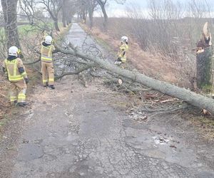 Silne wichury zaatakowały w Kujawsko-Pomorskiem