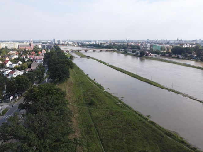 Wrocław - Odra wysoki poziom wody przy porcie miejskim (czwartek, 19.09)