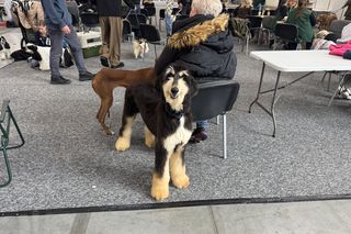 Miłośnicy zwierząt przybyli do Lublina. ZooPark zgromadził tłumy