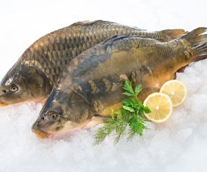 Jaki karp najlepszy do smażenia? [WAGA, Z ŁUSKĄ CZY BEZ]