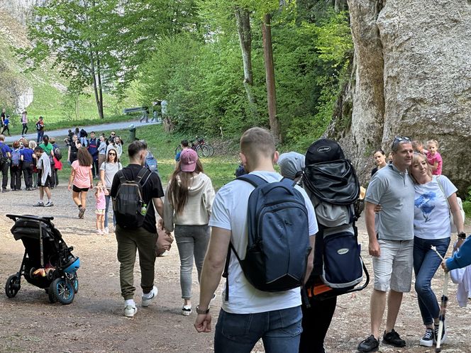 Majówkowe szaleństwo w małopolskiej wsi. Leży na terenie parku narodowego
