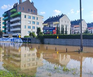 Stabłowice. Tak ratowali gołębie z działek