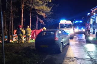 Śmiertelny wypadek w Borkach Wielkich. Pijany kierowca potrącił 19-letnią dziewczynę