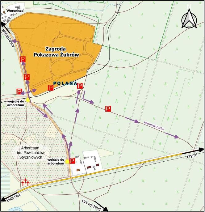 Piknik z żubrami MAPA