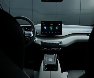 BYD DOLPHIN SURF