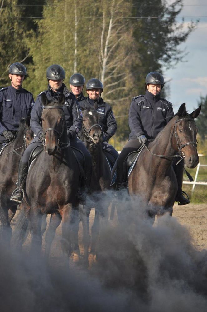 Policyjne konie zdały egzamin!