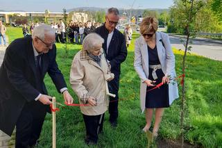 Otwarcie Alei Sprawiedliwych w Nowym Sączu