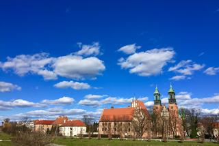 Darmowy program odchudzania. Opieka dietetyków i trenerów przez pół roku