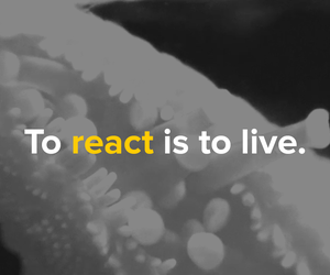 Laka Competition'15: Architecture that Reacts