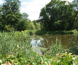 Ten pałac ma ponad 400 lat! Wyjątkowe miejsce na mapie woj. warmińsko-mazurskim
