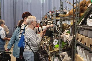 Bydgoszcz rozkwitła zielenią w Łuczniczce. Tak było na Festiwalu Roślin
