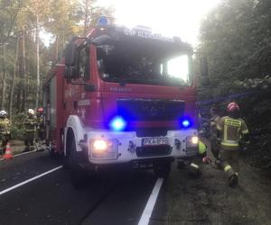 Śmiertelny wypadek w Brzezinach