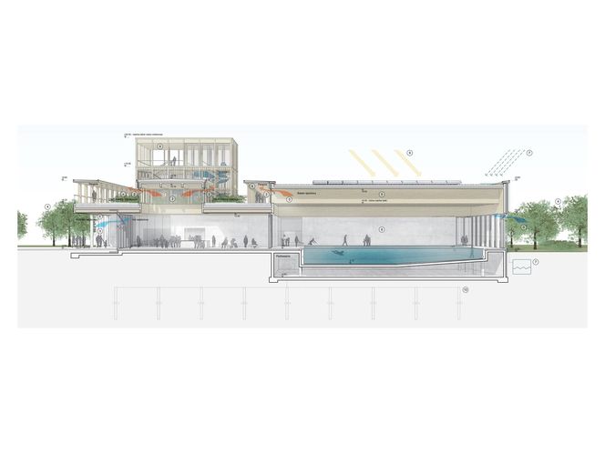 Nowe baseny w Warszawie. Ruszają wielkie inwestycje za ponad 150 mln zł