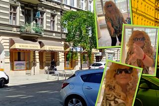 Kuchenne rewolucje w Szczecinie. Magda Gessler odmieniła bistro w centrum miasta i... zatańczyła!