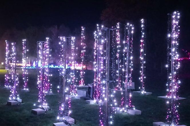 Garden of Lights w Szczecinie