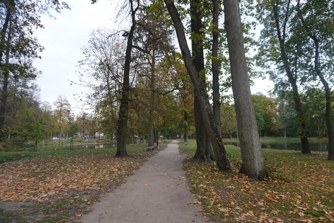 Park Lubomirskich w Białymstoku jesienią 