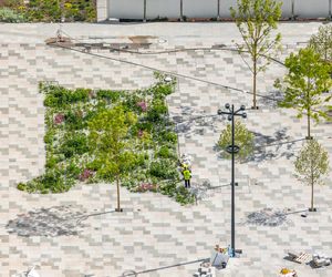 Plac Centralny w Warszawie pod koniec budowy