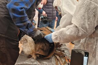 Sensacyjne odkrycie. Zaginiony sztandar z czasów wojny ukryty w kance na mleko!