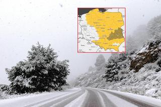Pogodowe szaleństwo opanowało Polskę. Ostrzeżenia IMGW niemal w całym kraju