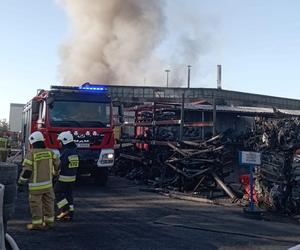 Pożar w Nowinach koło Kielc. Płonie hala produkcyjna, w akcji kilkanaście zastępów straży