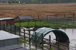 Przystań Ocalenie w Ćwiklicach zalana po ulewnych deszczach