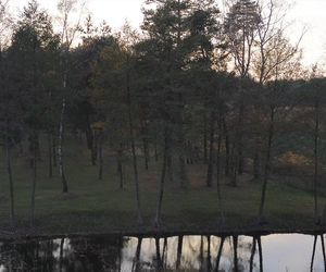 Idealne miejsce na jesienny spacer w Śląskiem - Kamień 