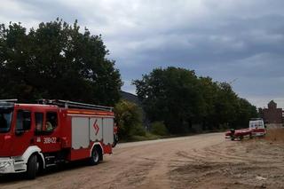 Pijany pływał sobie w Odrze w centrum Wrocławia. Interweniowało WOPR