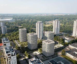 To najdziwniejsze miejsca w województwie śląskim. Niezwykłe, absurdalne, wyrwane z innego świata