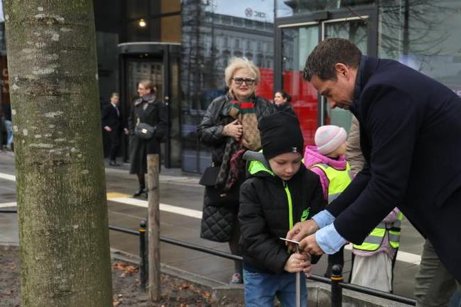 Warszawa "zazielenia" betonowy plac. Drzewami z Niemiec. Po 14 tys. zł za sztukę 