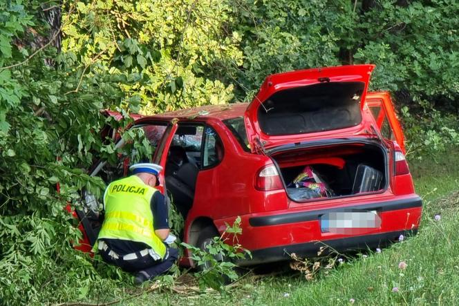 Auto uderzyło w drzewo w Wólce Radzymińskiej na DW631. Nie żyje 73-letni kierowca