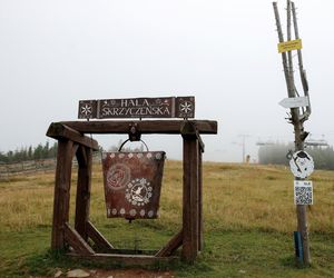 V Dzień Pasterski na Hali Skrzyczeńskiej w Szczyrku