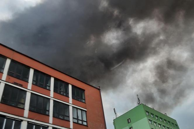 Pożar podkładów kolejowych w Katowicach. Policja ma podpalacza? Zatrzymano mężczyznę!