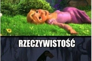 Wiosna 2025: Memy opanowały internet! Zobacz najzabawniejsze memy na powitanie wiosny [21.03.2025]