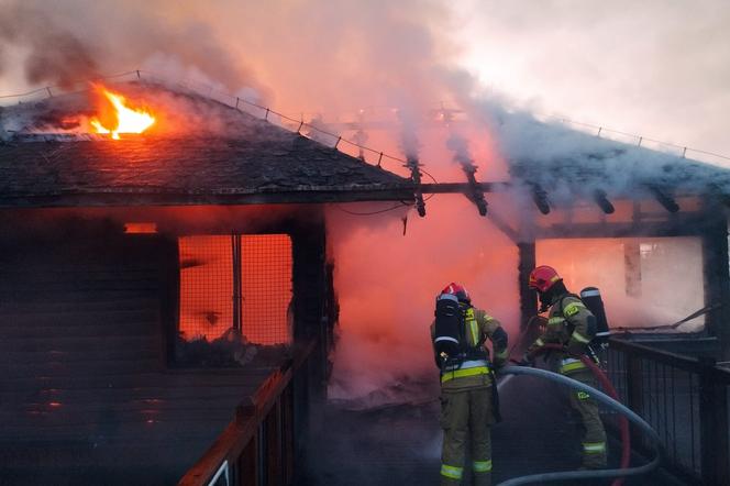 Koszmarny pożar w Zoo Safari Borysew